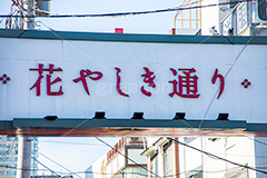花やしき通り,浅草花やしき,花やしき,遊園地,浅草,台東区,日本最古,ローラーコースター,アトラクション,懐かしい,レトロ,風情,商店街,看板,アーチ,ゲート,asakusa,japan,フルサイズ撮影
