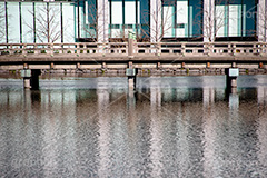 和田倉橋,橋,木の橋,木製,皇居,池,堀,お堀,内堀,溜池,天皇,宮殿,東京,千代田区,大手町,桜田門,重要文化財,リフレクション,japan,tokyo,フルサイズ撮影