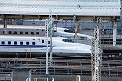 新幹線,しんかんせん,N700,700系,N700系,ひかり,東海道,並ぶ,ホーム,駅のホーム,東京駅,接続駅,電車,鉄道,でんしゃ,JR,電車/鉄道,車両,旅行,旅,乗り物,travel,train,フルサイズ撮影