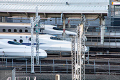 新幹線,しんかんせん,N700,700系,N700系,ひかり,東海道,並ぶ,ホーム,駅のホーム,東京駅,接続駅,電車,鉄道,でんしゃ,JR,電車/鉄道,車両,旅行,旅,乗り物,travel,train,フルサイズ撮影