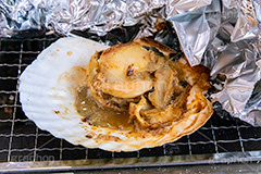 浜焼き,海鮮,シーフード,貝,甲殻類,魚介類,海の幸,焼く,漁港,郷土料理,バーベキュー,ほたて,ホタテ,帆立,貝柱,殻,二枚貝,seafood,フルサイズ撮影