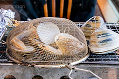 浜焼き,海鮮,シーフード,貝,甲殻類,魚介類,海の幸,焼く,漁港,郷土料理,バーベキュー,ハマグリ,はまぐり,蛤,網,あみ,ホンビノスガイ,ホンビノス貝,二枚貝,外来種,seafood,フルサイズ撮影