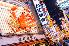 道頓堀の夜景,夜景,夜,道頓堀,繁華街,観光地,大阪府,大阪市,大阪,中央区,飲食店,たこ焼き,かに,串かつ,くいだおれ,なんば,商店街,看板,広告,ネオン,繫華街,夜の街,夜の町,japan,osaka,フルサイズ撮影