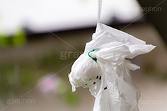 無残なてるてる坊主,無残,壊れ,てるてる坊主,天気,梅雨,つゆ,イベント,行事,6月,願い,手作り,手づくり,顔,シュール,吊る,雨,晴れ,ティッシュ,溶け,こども,子供,キッズ,kids