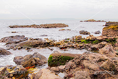 猿島,さるしま,無人島,東京湾,自然島,島,公園,神奈川県,横須賀,自然,史跡,伝説,空虚,名所,海岸,岩肌,japan