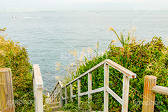 猿島,さるしま,無人島,東京湾,自然島,島,公園,神奈川県,横須賀,自然,史跡,伝説,空虚,名所,階段,急,japan