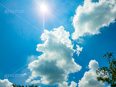 夏の太陽,逆光,太陽,自然,フレア,レンズフレア,眩,たいよう,日差し,光,サン,backlight,flare,sun,スマホ撮影