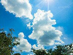 夏の太陽,逆光,太陽,自然,フレア,レンズフレア,眩,たいよう,日差し,光,サン,backlight,flare,sun,スマホ撮影