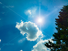 夏の太陽,逆光,太陽,自然,フレア,レンズフレア,眩,たいよう,日差し,光,サン,backlight,flare,sun,スマホ撮影