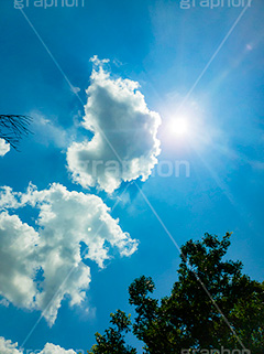 夏の太陽,逆光,太陽,自然,フレア,レンズフレア,眩,たいよう,日差し,光,サン,backlight,flare,sun,スマホ撮影
