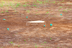 ホームベース,ホーム,野球観戦,野球グランド,野球,ベイスボール,グラウンド,スポーツ,試合,sports,ground,フルサイズ撮影