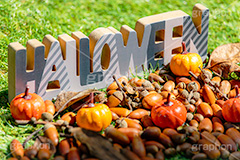 HALLOWEEN,カボチャとドングリ,ドングリ,どんぐり,団栗,パンプキン,南瓜,ハロウィンオーナメント,ハロウィン,はろうぃん,ハロウィーン,オーナメント,飾り,イベント,秋,行事,収穫祭,芝生,枯れ葉,落ち葉,木の実,Halloween,ornament,pumpkin,autumn,フルサイズ撮影