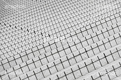 階段,大階段,ブロック,地面,段差,上る,下りる,公園,テクスチャ,テクスチャ―,bricks,stairs,フルサイズ撮影