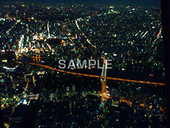 東京の夜景,夜景,展望台,高い,夜