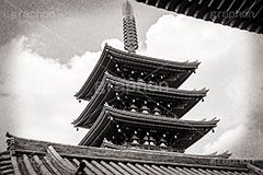浅草寺,モノクロ,白黒,しろくろ,モノクローム,単色画,単彩画,単色,レトロ,お洒落,おしゃれ,オシャレ,味わい