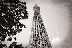 スカイツリー,モノクロ,白黒,しろくろ,モノクローム,単色画,単彩画,単色,レトロ,お洒落,おしゃれ,オシャレ,味わい