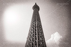 スカイツリー,モノクロ,白黒,しろくろ,モノクローム,単色画,単彩画,単色,レトロ,お洒落,おしゃれ,オシャレ,味わい