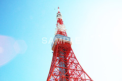 東京タワー,タワー,総合電波塔,電波,塔,日本電波塔,333m,とうきょうタワー,Tokyo Tower,港区,東京のシンボル,観光名所,japan