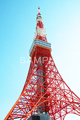 東京タワー,タワー,総合電波塔,電波,塔,日本電波塔,333m,とうきょうタワー,Tokyo Tower,港区,東京のシンボル,観光名所,japan