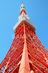 東京タワー,タワー,総合電波塔,電波,塔,日本電波塔,333m,とうきょうタワー,Tokyo Tower,港区,東京のシンボル,観光名所,真下,見上げ,japan