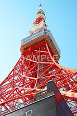 東京タワー,タワー,総合電波塔,電波,塔,日本電波塔,333m,とうきょうタワー,Tokyo Tower,港区,東京のシンボル,観光名所,真下,見上げ,japan