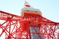 東京タワー,タワー,総合電波塔,電波,塔,日本電波塔,333m,とうきょうタワー,Tokyo Tower,港区,東京のシンボル,観光名所,真下,見上げ,japan