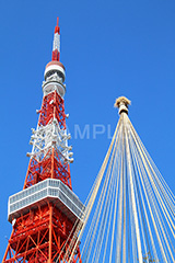 東京タワー,タワー,総合電波塔,電波,塔,日本電波塔,333m,とうきょうタワー,Tokyo Tower,港区,東京のシンボル,観光名所,冬,japan