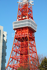 東京タワー,タワー,総合電波塔,電波,塔,日本電波塔,333m,とうきょうタワー,Tokyo Tower,港区,東京のシンボル,観光名所,japan