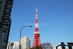 東京タワー,タワー,総合電波塔,電波,塔,日本電波塔,333m,とうきょうタワー,Tokyo Tower,港区,東京のシンボル,観光名所,japan