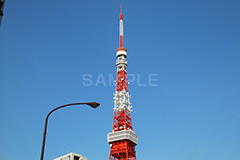 東京タワー,タワー,総合電波塔,電波,塔,日本電波塔,333m,とうきょうタワー,Tokyo Tower,港区,東京のシンボル,観光名所,japan