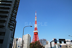 東京タワー,タワー,総合電波塔,電波,塔,日本電波塔,333m,とうきょうタワー,Tokyo Tower,港区,東京のシンボル,観光名所,japan