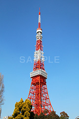 東京タワー,タワー,総合電波塔,電波,塔,日本電波塔,333m,とうきょうタワー,Tokyo Tower,港区,東京のシンボル,観光名所,japan