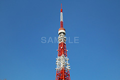東京タワー,タワー,総合電波塔,電波,塔,日本電波塔,333m,とうきょうタワー,Tokyo Tower,港区,東京のシンボル,観光名所,japan