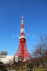 東京タワー,タワー,総合電波塔,電波,塔,日本電波塔,333m,とうきょうタワー,Tokyo Tower,港区,東京のシンボル,観光名所,冬,japan