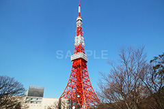 東京タワー,タワー,総合電波塔,電波,塔,日本電波塔,333m,とうきょうタワー,Tokyo Tower,港区,東京のシンボル,観光名所,冬,japan