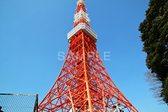 東京タワー,タワー,総合電波塔,電波,塔,日本電波塔,333m,とうきょうタワー,Tokyo Tower,港区,東京のシンボル,観光名所,japan