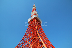 東京タワー,タワー,総合電波塔,電波,塔,日本電波塔,333m,とうきょうタワー,Tokyo Tower,港区,東京のシンボル,観光名所,japan
