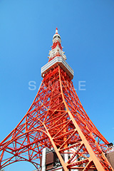 東京タワー,タワー,総合電波塔,電波,塔,日本電波塔,333m,とうきょうタワー,Tokyo Tower,港区,東京のシンボル,観光名所,japan