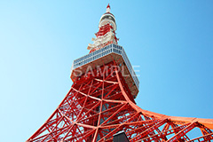 東京タワー,タワー,総合電波塔,電波,塔,日本電波塔,333m,とうきょうタワー,Tokyo Tower,港区,東京のシンボル,観光名所,真下,見上げ,japan