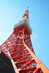 東京タワー,タワー,総合電波塔,電波,塔,日本電波塔,333m,とうきょうタワー,Tokyo Tower,港区,東京のシンボル,観光名所,真下,見上げ,japan