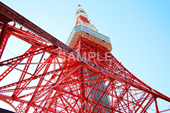 東京タワー,タワー,総合電波塔,電波,塔,日本電波塔,333m,とうきょうタワー,Tokyo Tower,港区,東京のシンボル,観光名所,真下,見上げ,japan