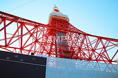 東京タワー,タワー,総合電波塔,電波,塔,日本電波塔,333m,とうきょうタワー,Tokyo Tower,港区,東京のシンボル,観光名所,真下,見上げ,japan