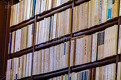 並んだ本,並ぶ,本,本棚,本屋,書店,古本,古書,読書,書籍,図書,図書館,ブック,活字,小説,作家,筆者,書物,文書,文献,文芸,book,フルサイズ撮影