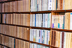 並んだ本,並ぶ,本,本棚,本屋,書店,古本,古書,読書,書籍,図書,図書館,ブック,活字,小説,作家,筆者,書物,文書,文献,文芸,book,フルサイズ撮影