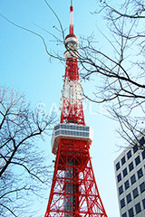 東京タワー,タワー,総合電波塔,電波,塔,日本電波塔,333m,とうきょうタワー,Tokyo Tower,港区,東京のシンボル,観光名所,冬,japan