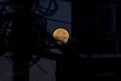 満月,月,夜空,空,ムーン,ルーナ,天体,光,白色,月見,お月見,空/天気,電線,円柱,怪しい,moon,sky,フルサイズ撮影