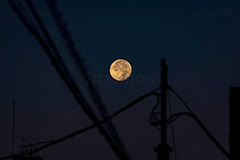 満月,月,夜空,空,ムーン,ルーナ,天体,光,白色,月見,お月見,空/天気,電線,怪しい,moon,sky,フルサイズ撮影