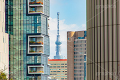 隙間ツリー,隙間,スカイツリー,東京スカイツリー,塔,千代田区,タワー,japan,skytree,tower,フルサイズ撮影