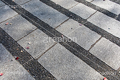 石畳,石,敷,地面,テクスチャ,テクスチャ―,石系,texture,フルサイズ撮影