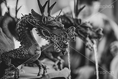 手水舎,御手水,龍,神様,清め,洗い,参拝,モノクロ,白黒,しろくろ,モノクローム,単色画,単彩画,単色,レトロ,お洒落,おしゃれ,オシャレ,味わい,懐かしい,japan